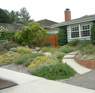 Creekbed Garden