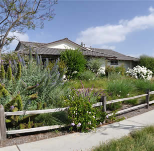 Split Rail Fence Garden