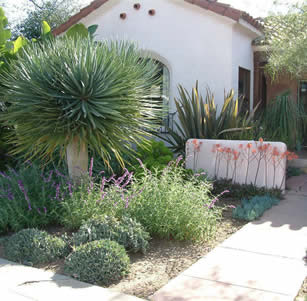 Mediterranean Gardens