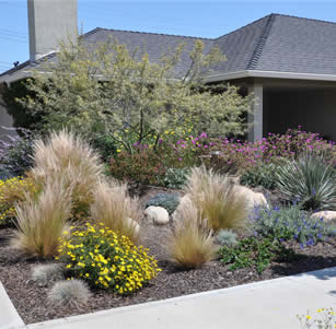 Flagstone Walks Garden