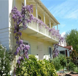 Spring Interest