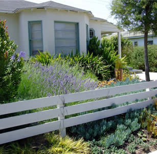 White Fence Garden