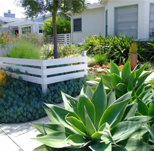 Front Yards