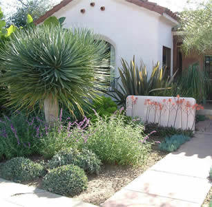 Mediterranean Gardens
