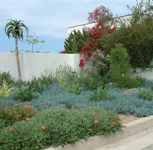Theme Gardens
